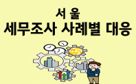 국세청 세무조사 방지를 위한 사례별 대응방안_서울