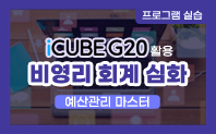 iCUBE G20 활용 비영리 회계 심화과정